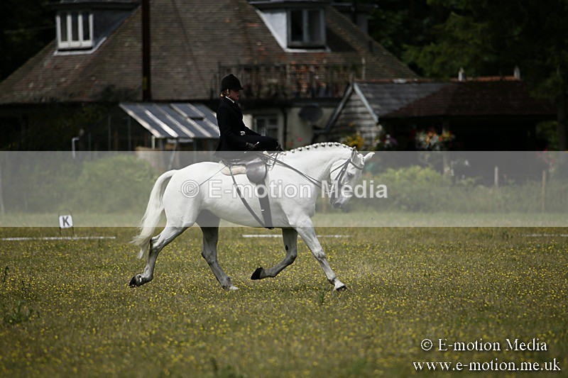 BVR160717-1599 - Side Saddle Classes 16/07/17
