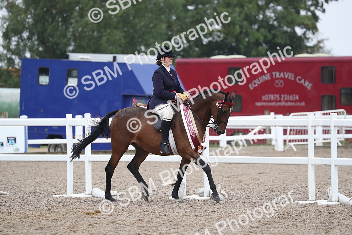 SBM_21677 - Class 602 - 2025 Area - Ridden Veteran