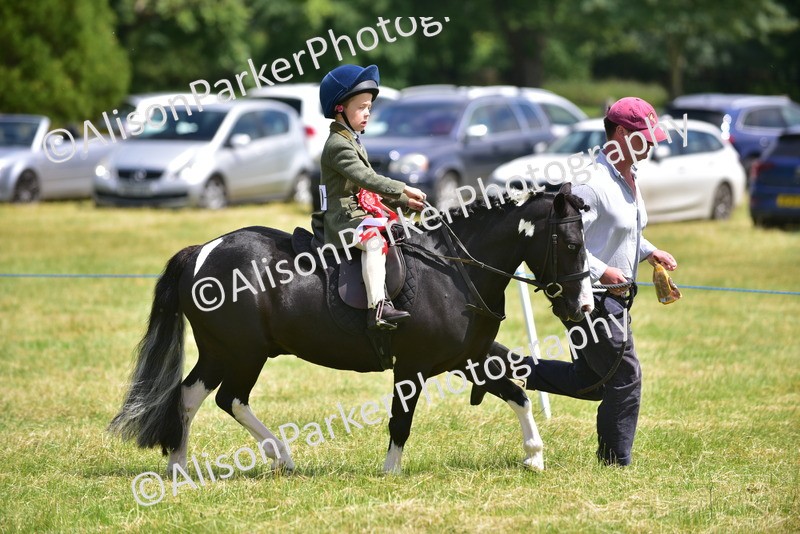 20260614-1427 - Class 11b - Lead Rein Pony (Plaited)
