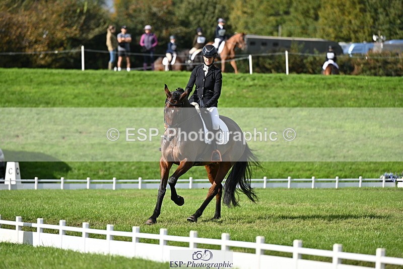251024A-133208-12131 - D-362-Tanya.Viol
