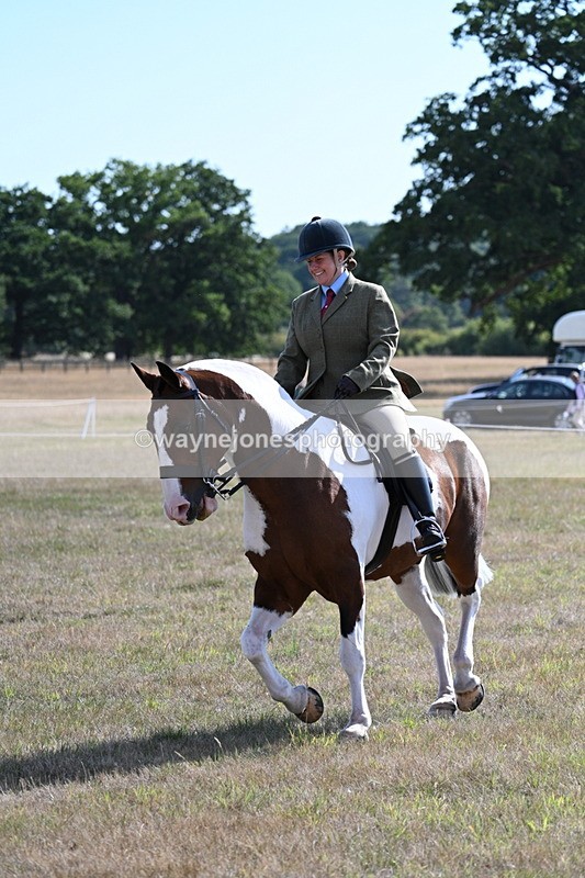 WJ7_2834 - Class 8 Ridden Tack & Turnout