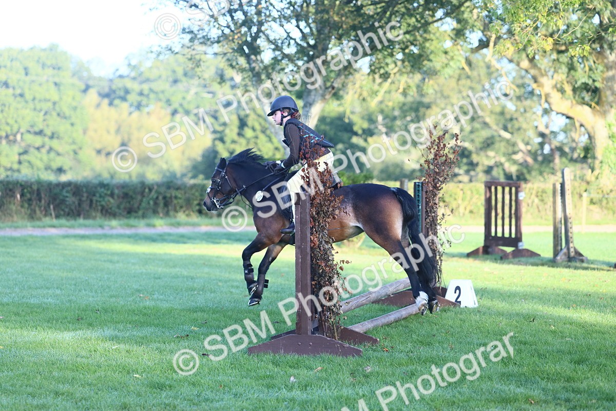 SBM_37284 - S29 - Novice & Newcomers Working Hunter Pony