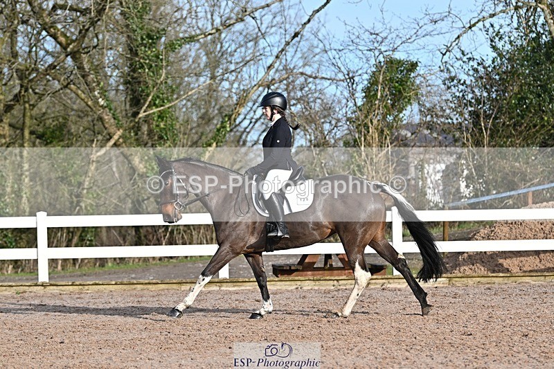 250125-104838-00237 - Dressage - CT Class 4 BE95 (80cm)