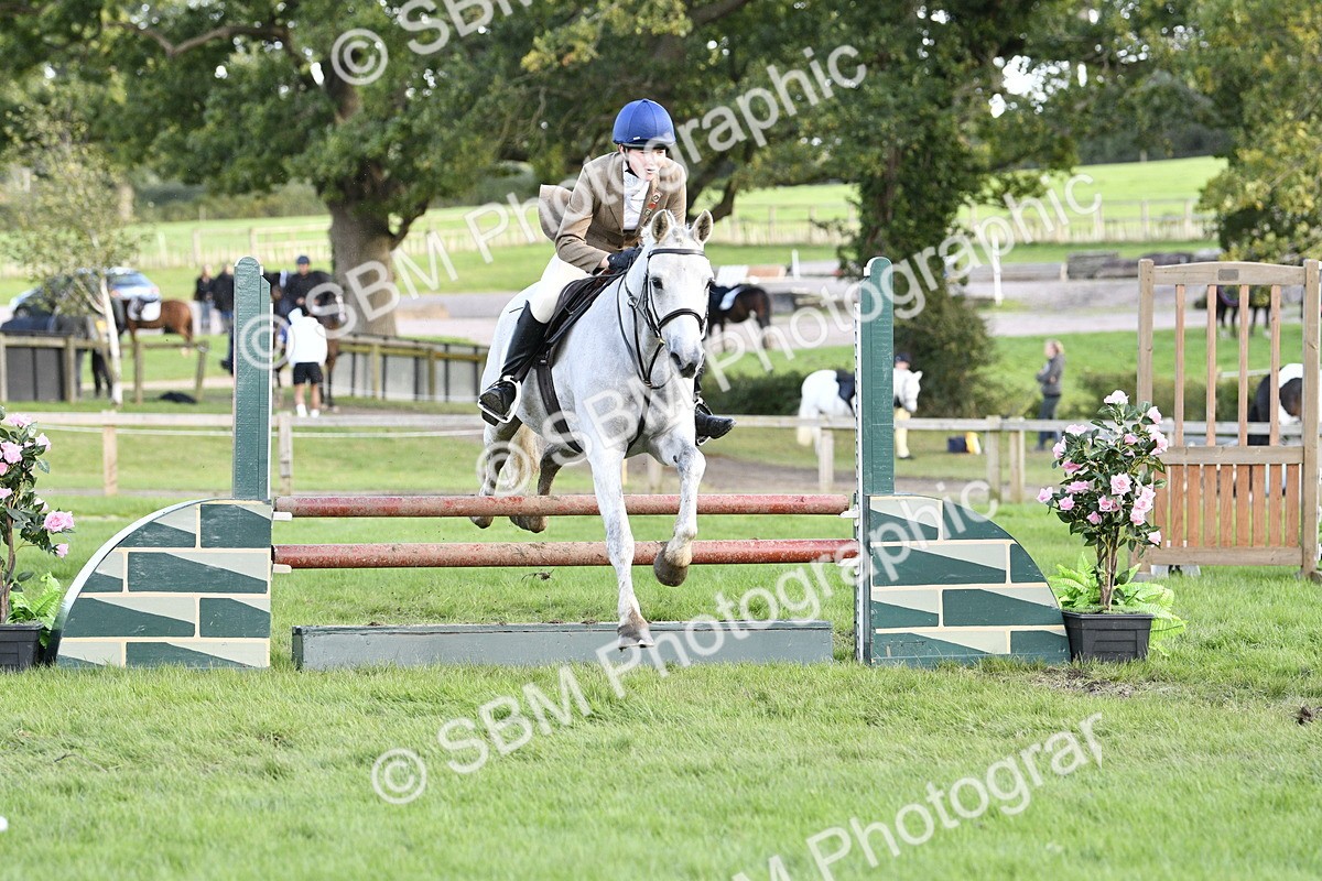 SBM_52155 - S35 - Working Hunter & Working Show Horse