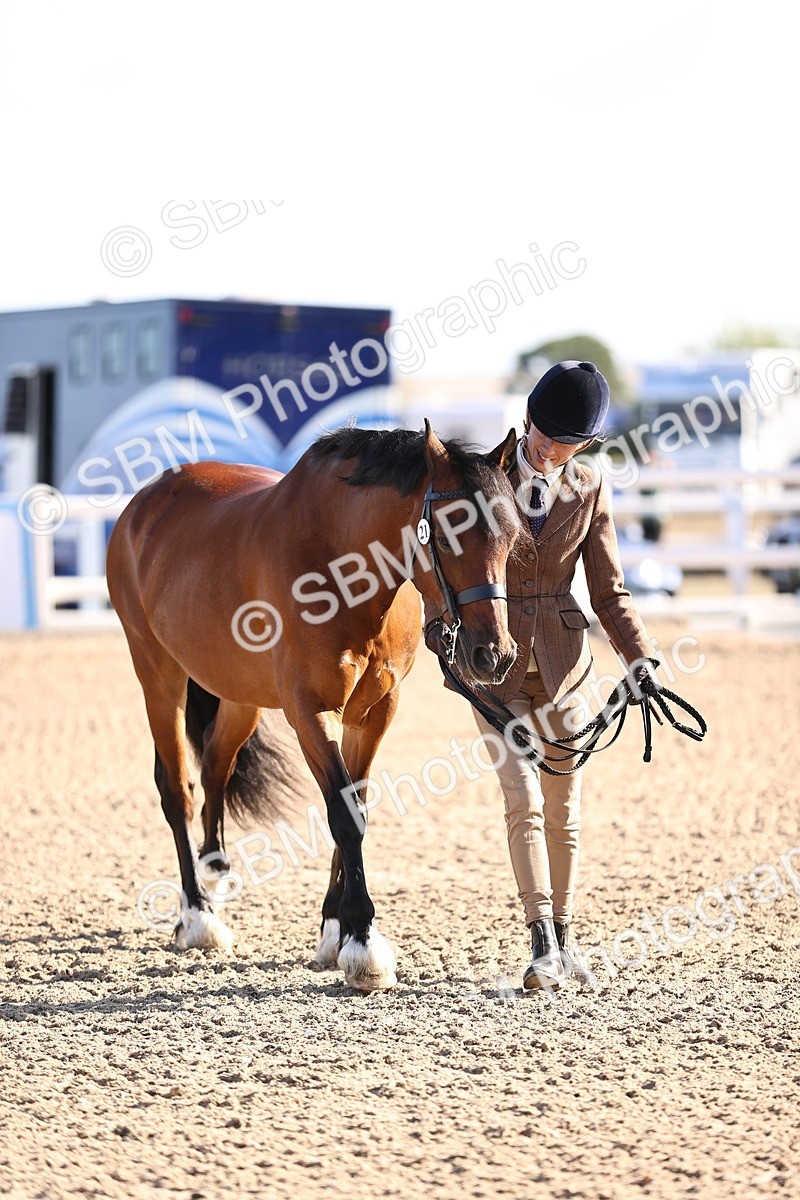 SBM_08482 - Class 402 - IH Veteran Pony