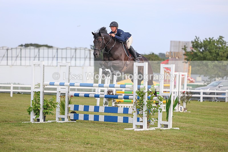 3E7A0828 - Class C: Showjumping Senior Foxhunter