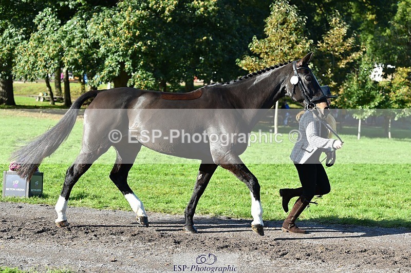 231022-111352-23822 - 565-LITTLE.M.II-Charlotte.Radley-TrotUp+SJ