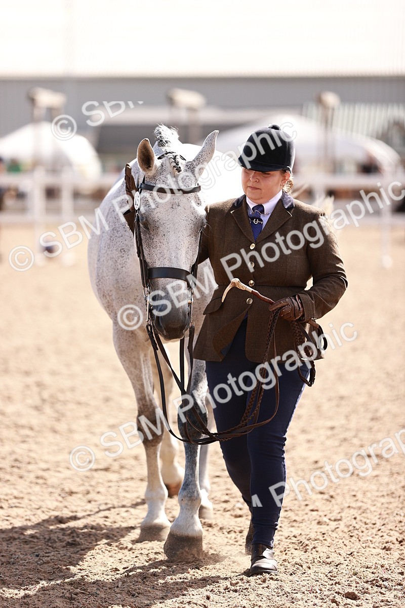 SBM_13348 - class 406 - IH Hunter