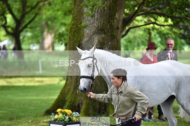 240522-155928-00625 - 112-DISCO_DONUT-Mahony_Knight