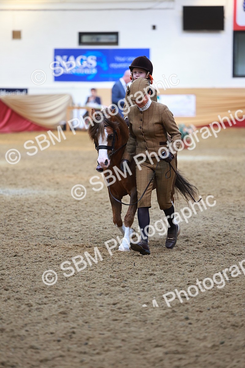 SBM_12604 - Class 103 - HOYS Veteran Qualifier - Ridden Pre Vet