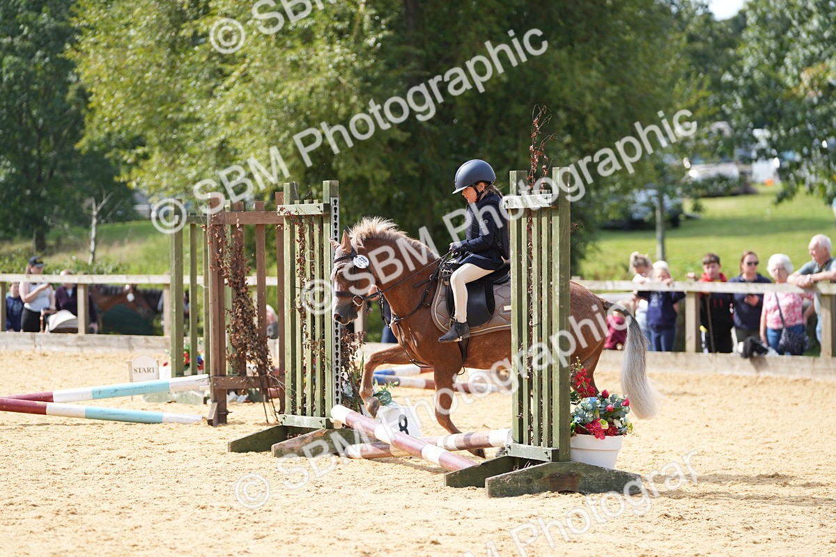 SBM_65793 - J2 - Mini Tour Junior Pony 30cm Championship