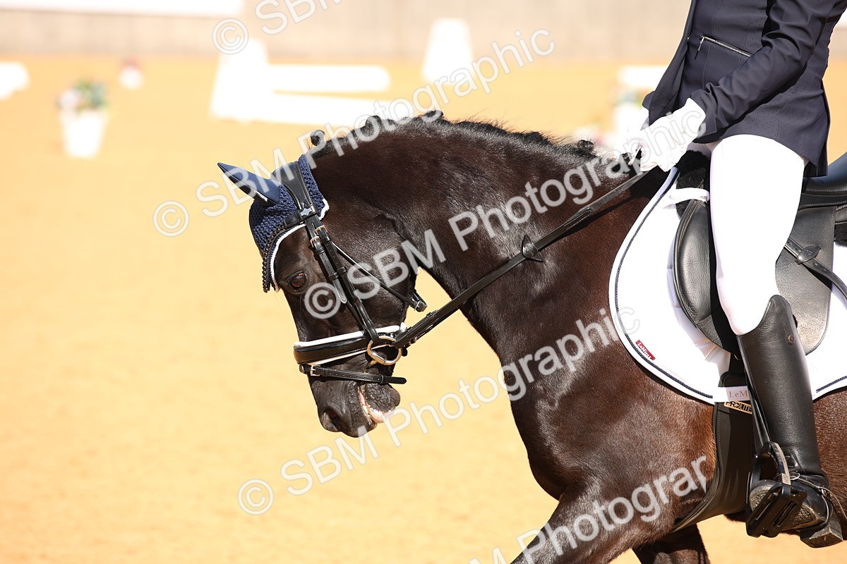SBM_04218 - D2 Small Tour Championship Intro C