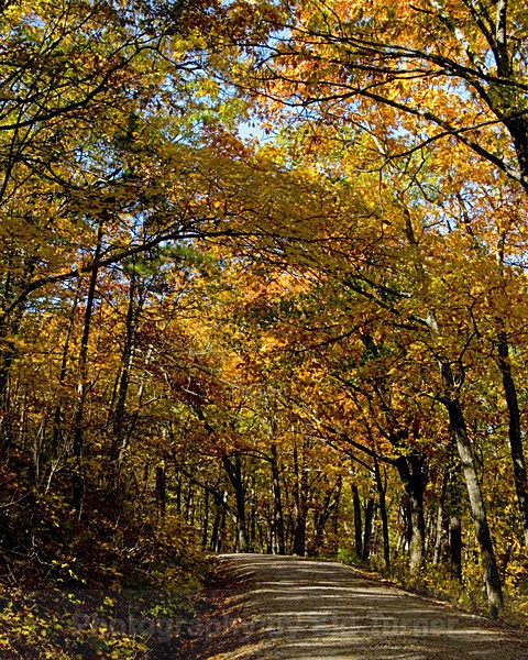  - Autum