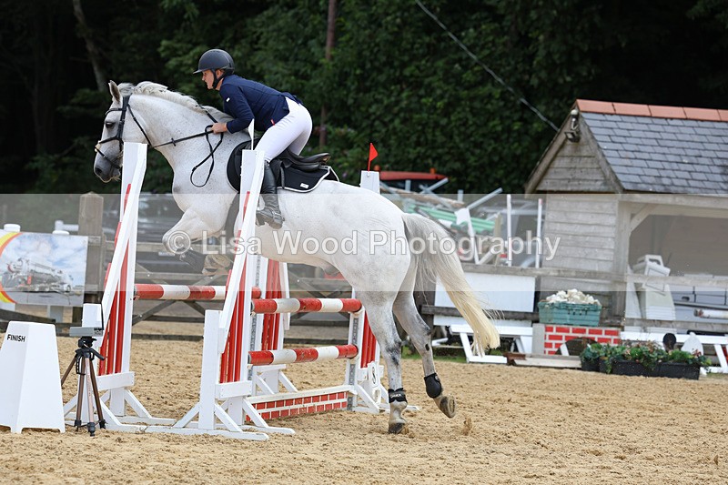 3E7A0123 - Class 9: Senior British Novice/90cm open