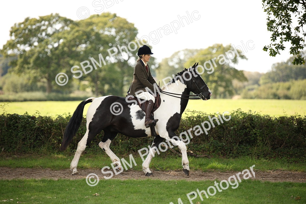SBM_70072 - S65 - Piebald & Skewbald Horse Ridden