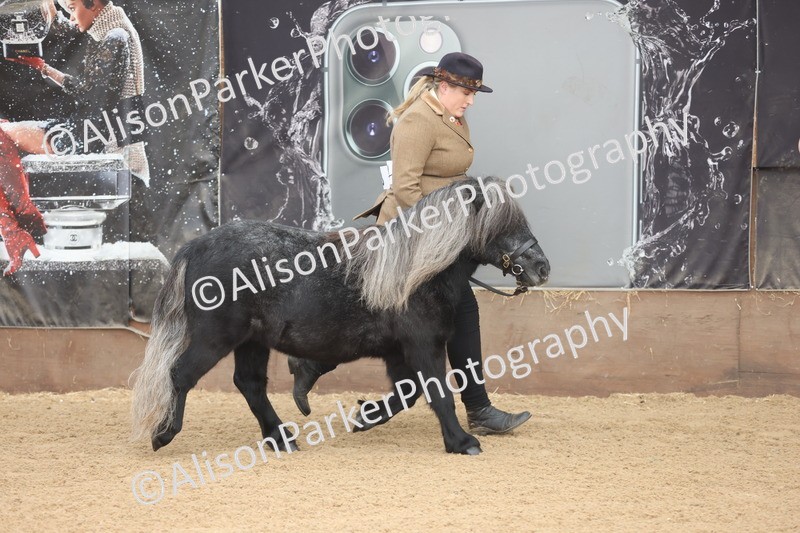 20251109-0065 - Class 3 - 2 and 3 Year Old