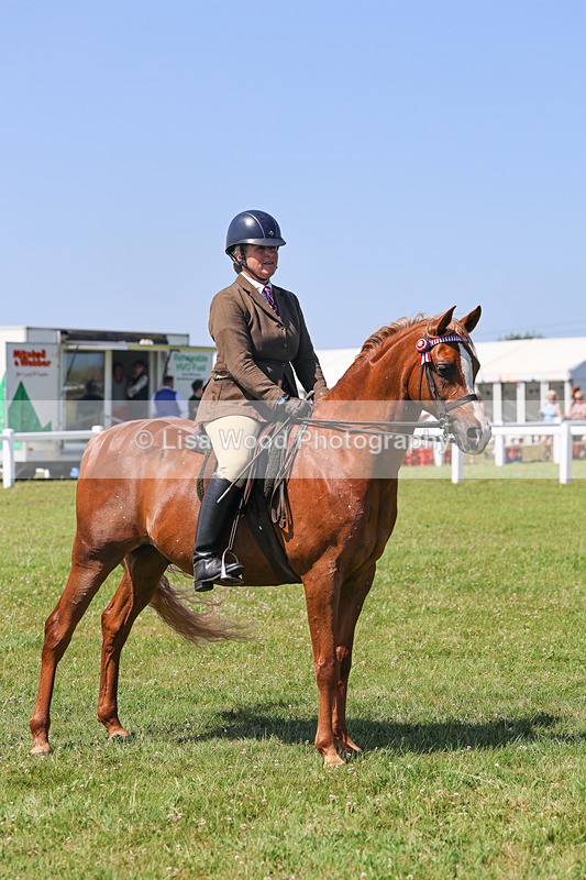 IMG_2234 - Class 37: Pure, Anglo & Part Bred Ridden Arab