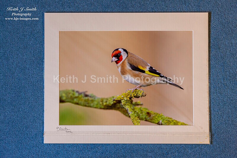 0SKJ9349 - Mounted prints for sale.