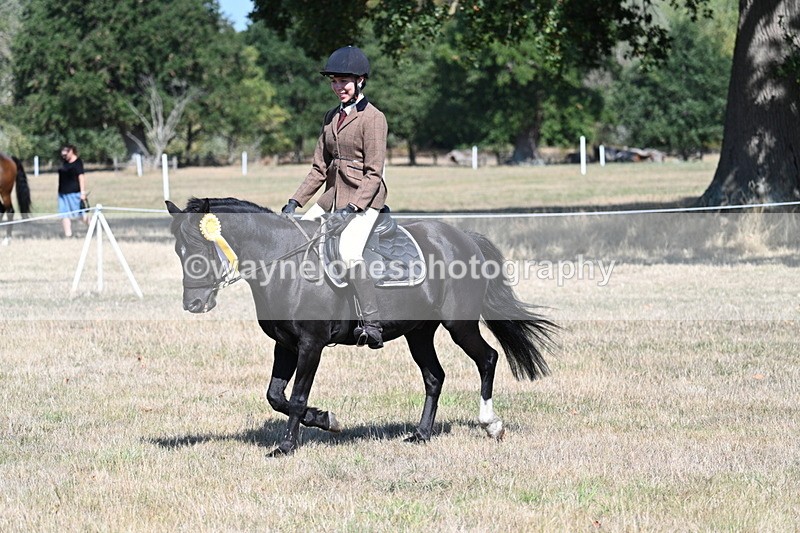 WJ7_4247 - Class 9 Mountain & Moorland Ridden