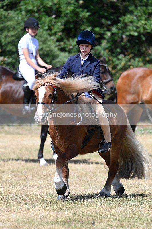 WJ7_3403 - Class 8 Ridden Veterans