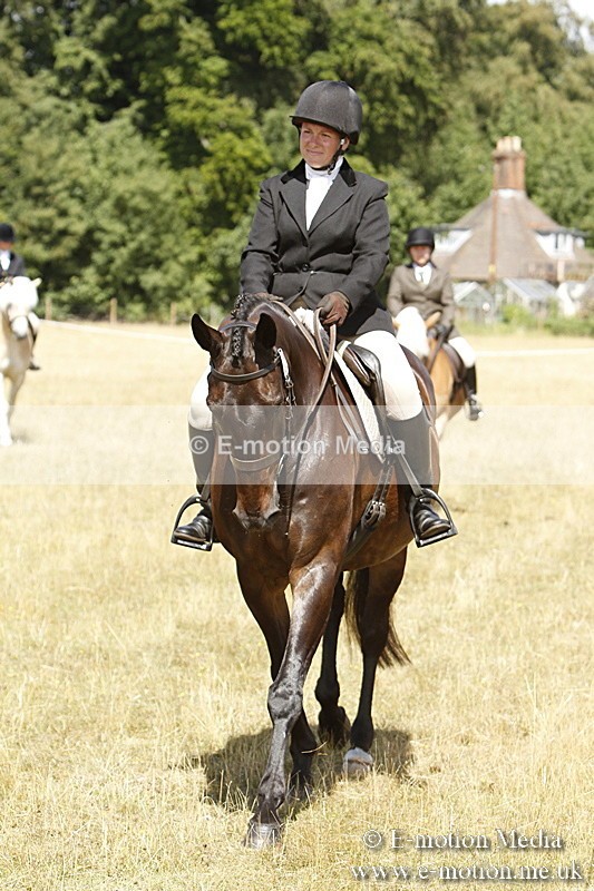 _BS_0701 - BVRC Show 2018 Ring 1