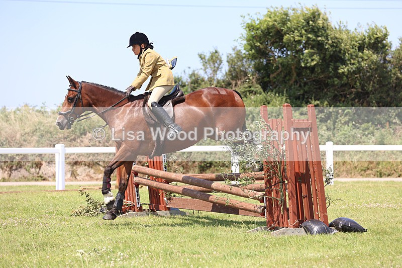 JPP_3003 - Class 22: Working Hunter 70cm