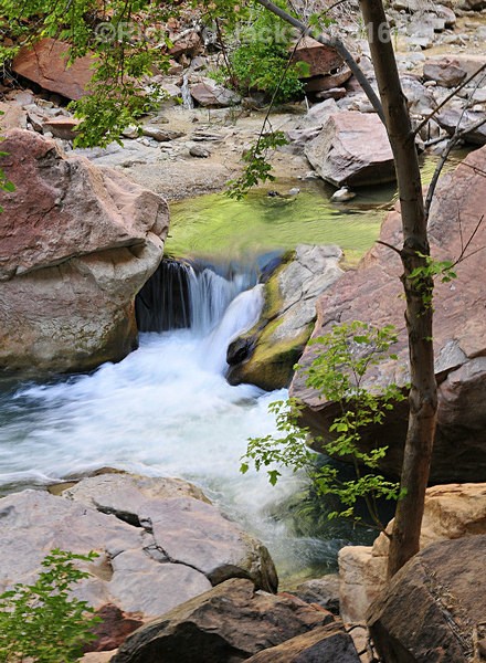 Subtle Falls - Zion National Pk. -  2012