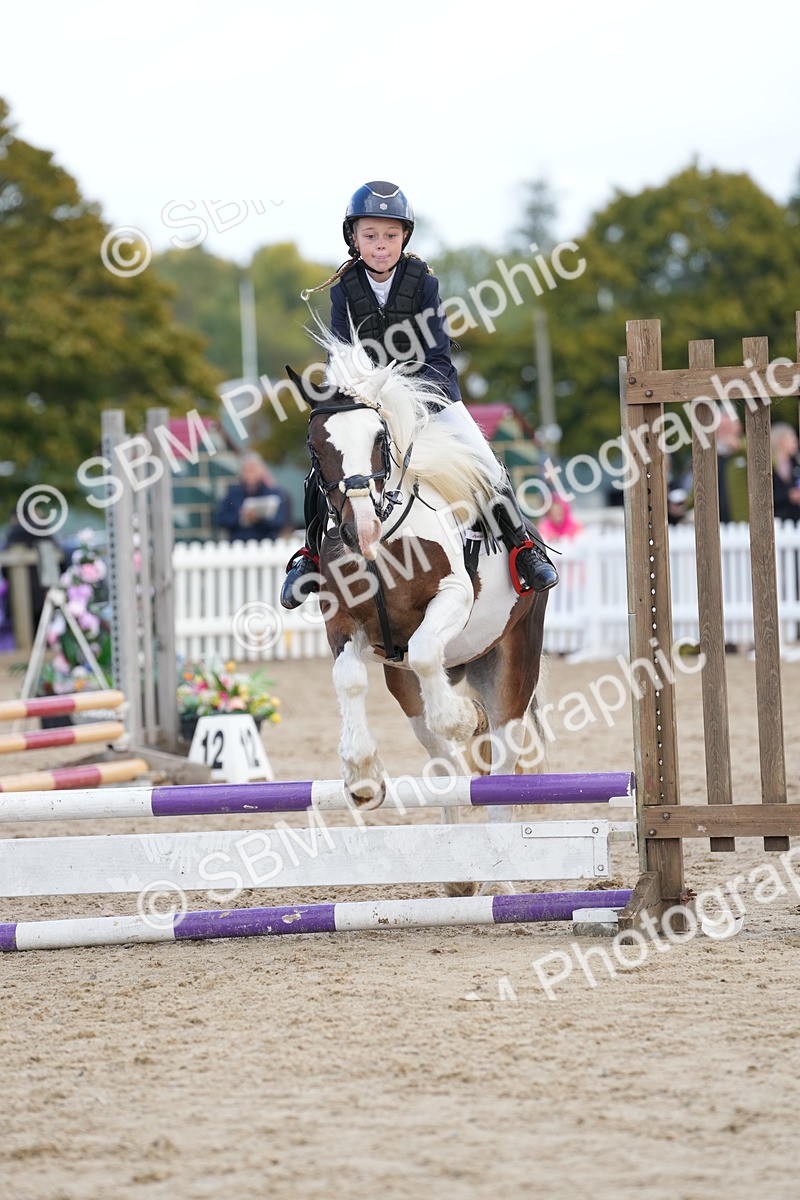 SBM_21099 - J49 - Open 50cm