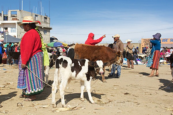  - Guatemala