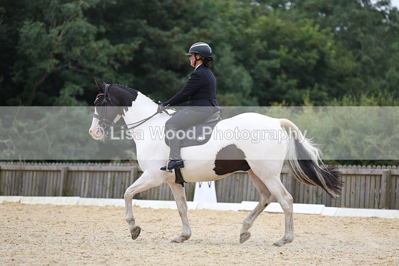 3E7A7354 - Class 9: Elementary 4 2024 - No sections