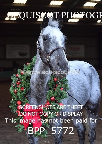 BPP_5772 - Marion West pony 2