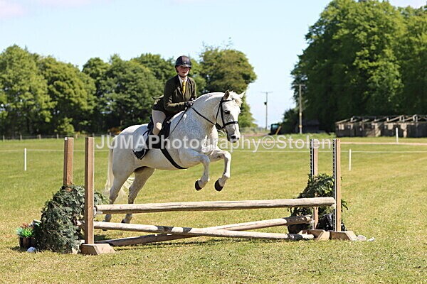 IMG_3839 - Working Hunter