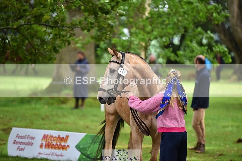 240522-155838-00614 - 109-MJM_BOBBY_DAZZLER-Rosie_Ringer