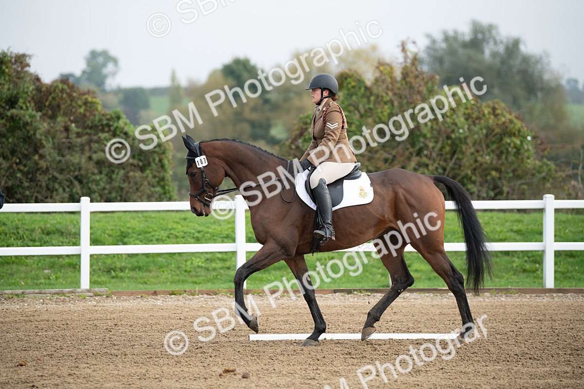 SBM_003536 - Introductory Test 3