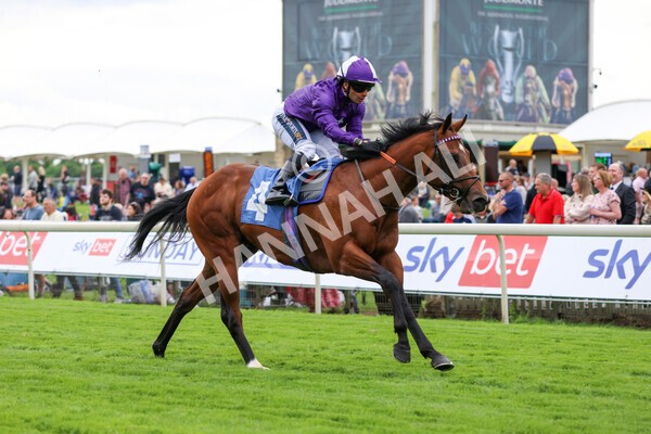 yr22052022r2-15 - Race 2: 4:00pm Sky Bet Sunday Series EBF Novice Stakes