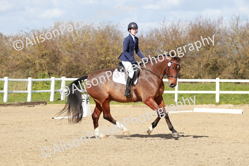 20260314-3018 - DR3 - Prelim 1