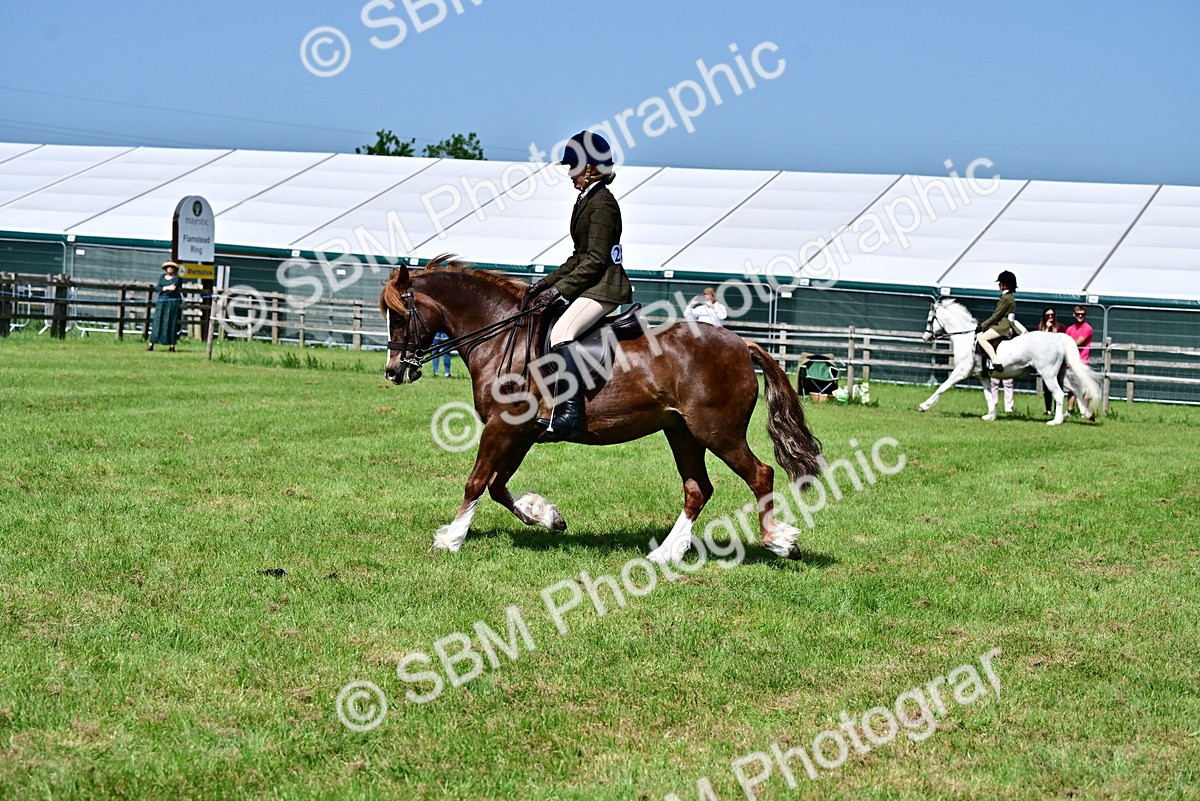 SBM_03749