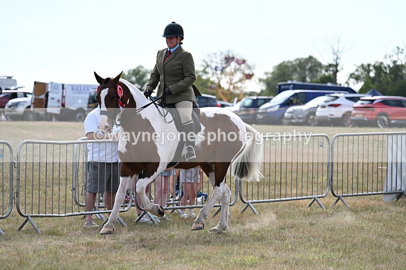 WJ7_7777 - Ridden Championship