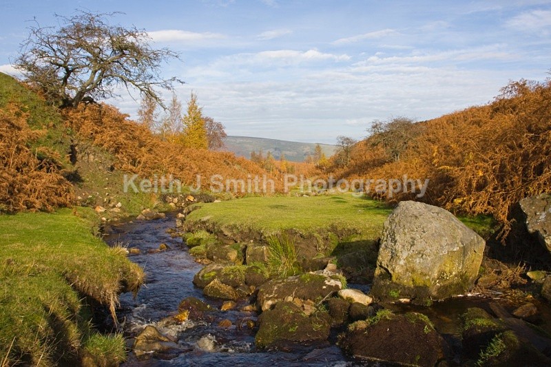 KJS_0564 - United Kindom