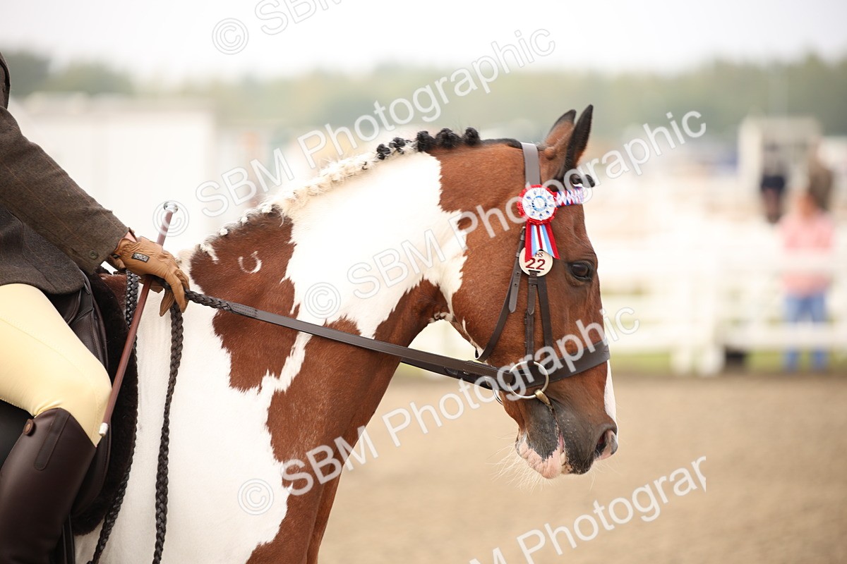 SBM_09730 - Class 401 Riding Club Pony