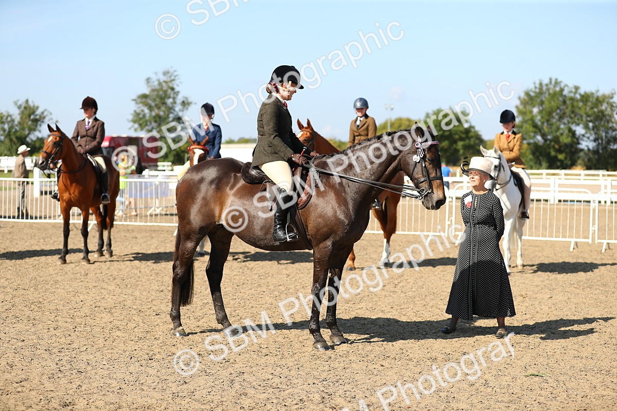 SBM_02316 - Class 43 Ridden Competition Horse/Pony