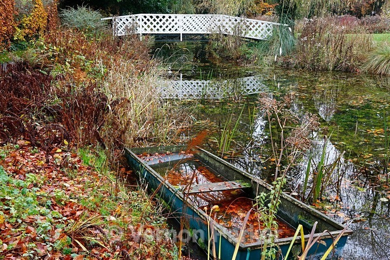 Autumn at Goodestone water gardens - Norfolk