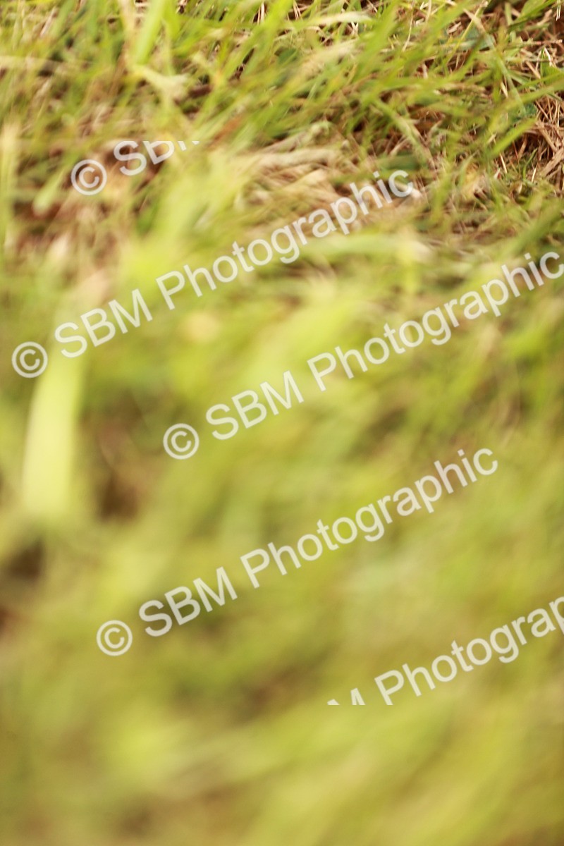 SBM_04619 - Class 5-8 - BSPA In hand