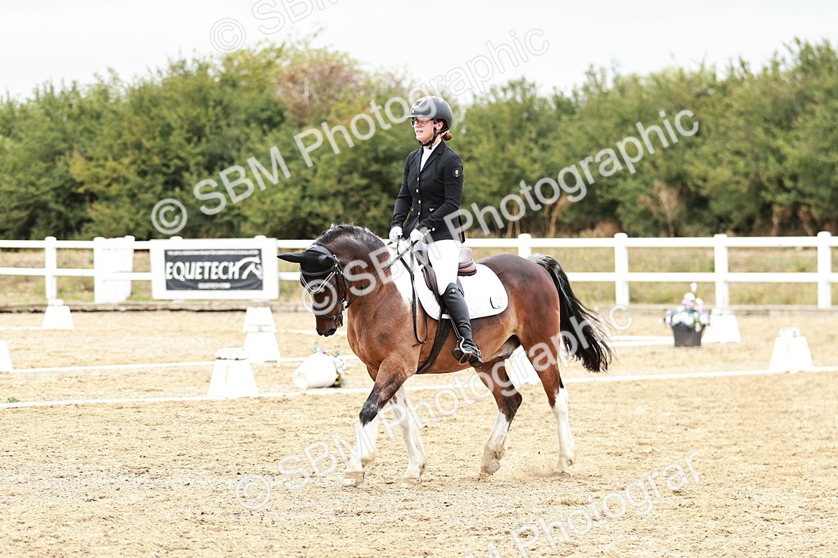 SBM_002933