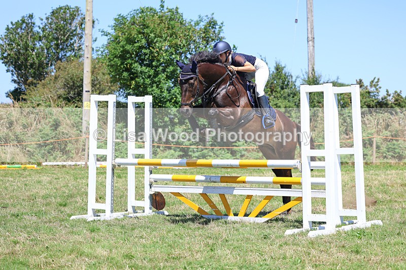 3E7A5687 - Class 9: Senior British Novice/90cm open