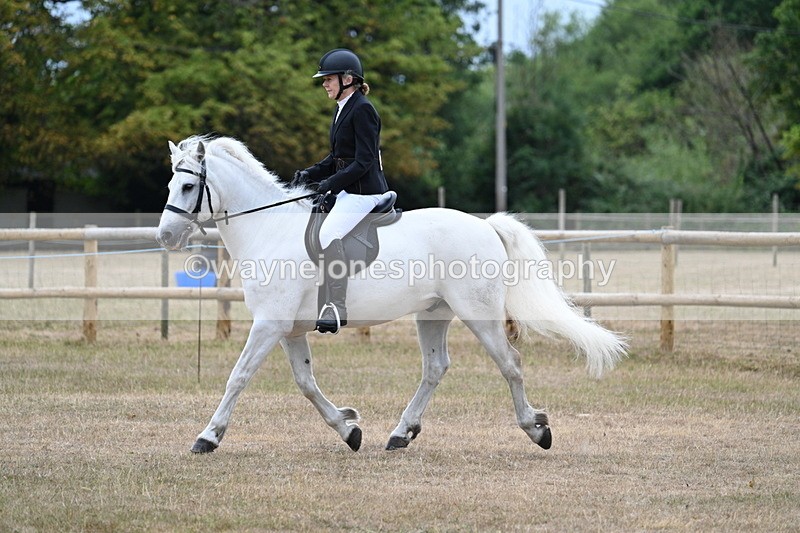 WJ7_0345 - Class 6 Ridden Mountain and Moorland