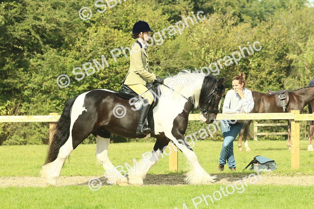 SBM_67419 - S56 - Coloured Pony Ridden