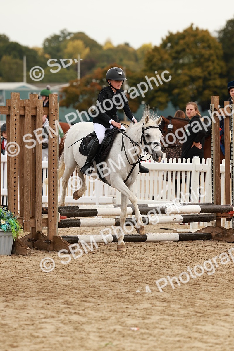 SBM_57631 - J11 - Junior Pony 50cm Championship