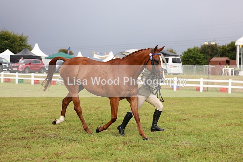 3E7A7904 - Class 1: Rising Star Small Hack/Riding Horses