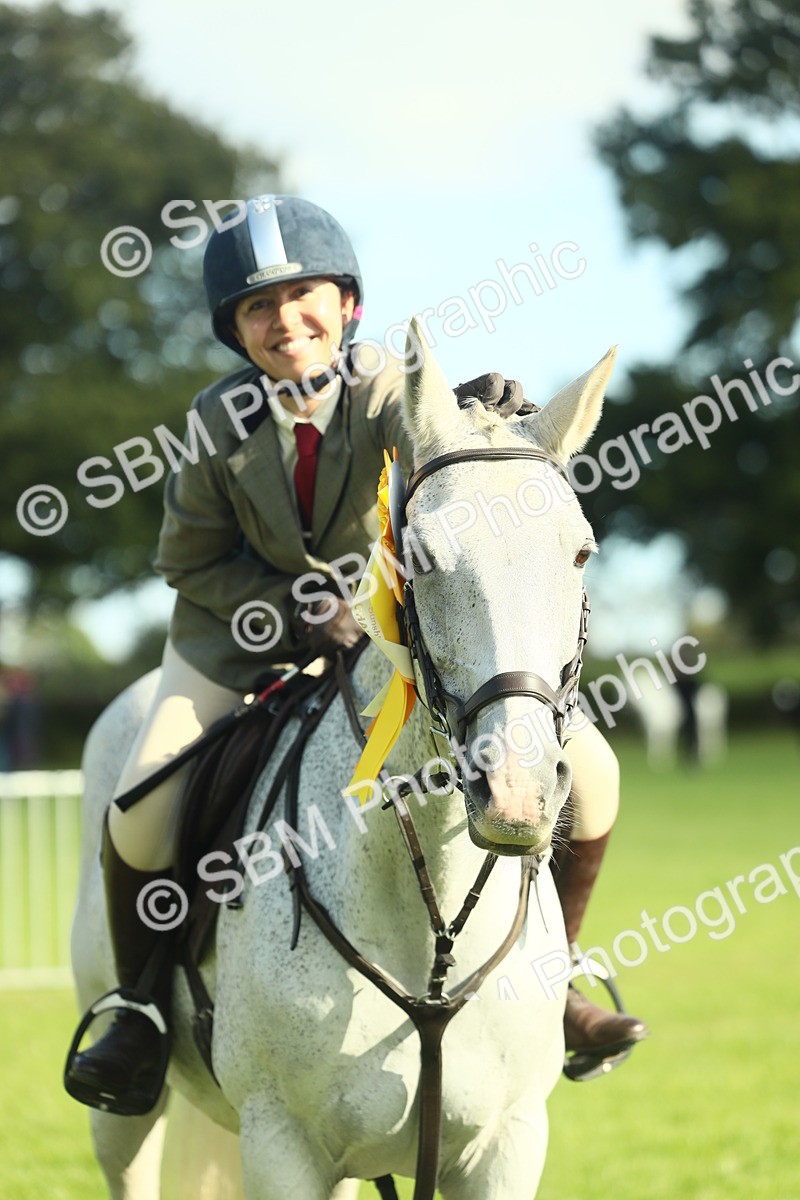 SBM_49930 - S32 - Novice & Newcomers Working Hunter
